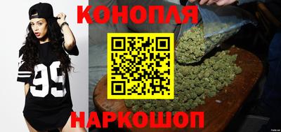 Альфа ПВП Комсомольск-на-Амуре