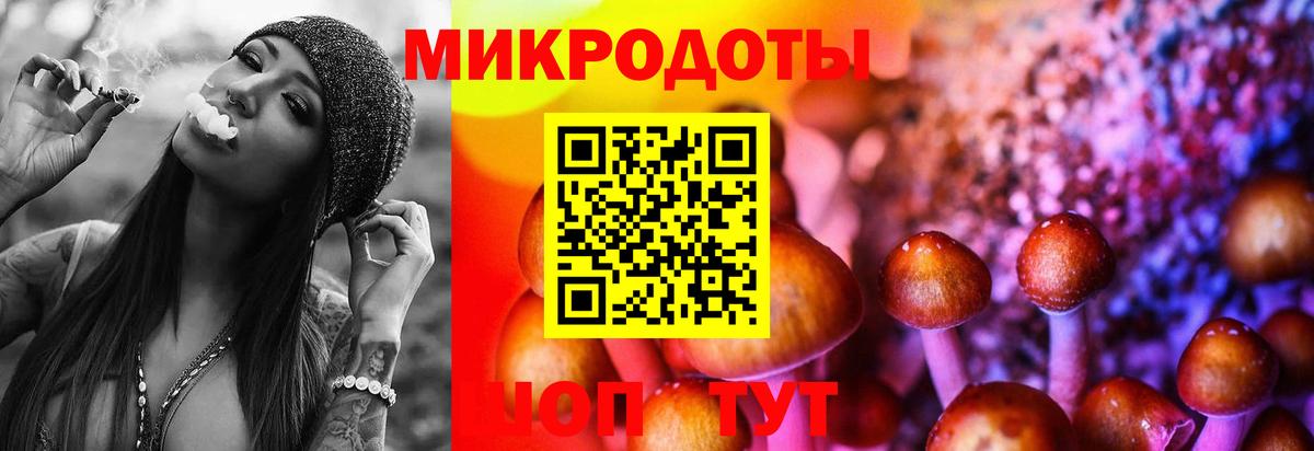 Псилоцибиновые грибы мухоморы  Псилоцибиновые грибы GOLDEN TEACHER  Кувандык  Вход с VPN 